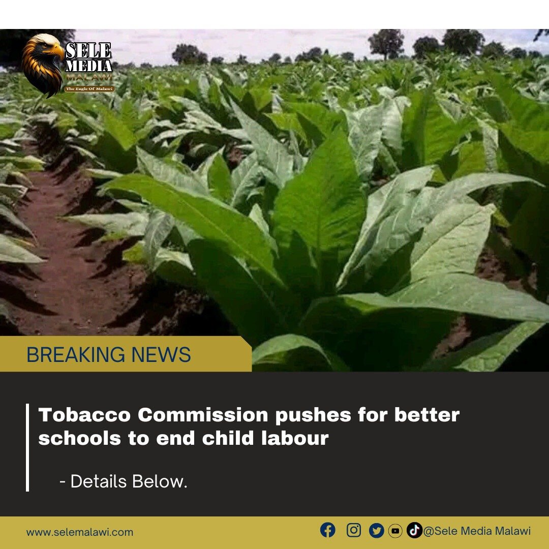Tobacco Commission pushes for better schools to end child labour