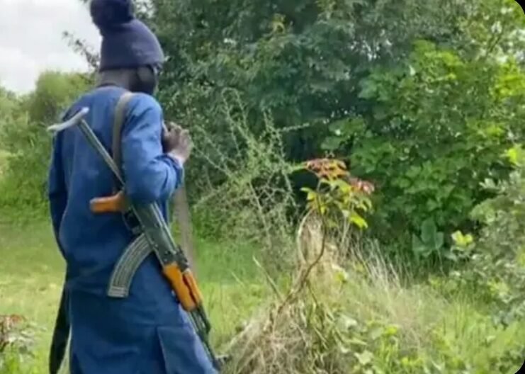 Families Receive Ransom Demands After Worshippers Ambushed on Way to Religious Festival in Nigeria