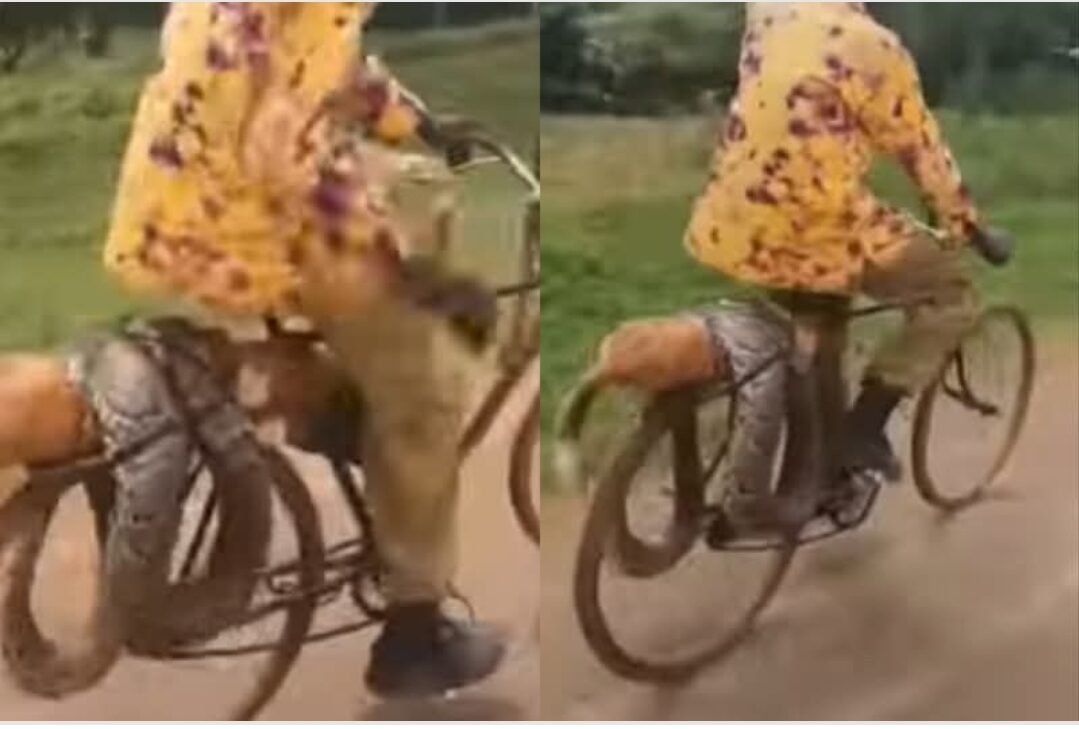 Man who went viral for capturing a python and taking it to police breaks silence.