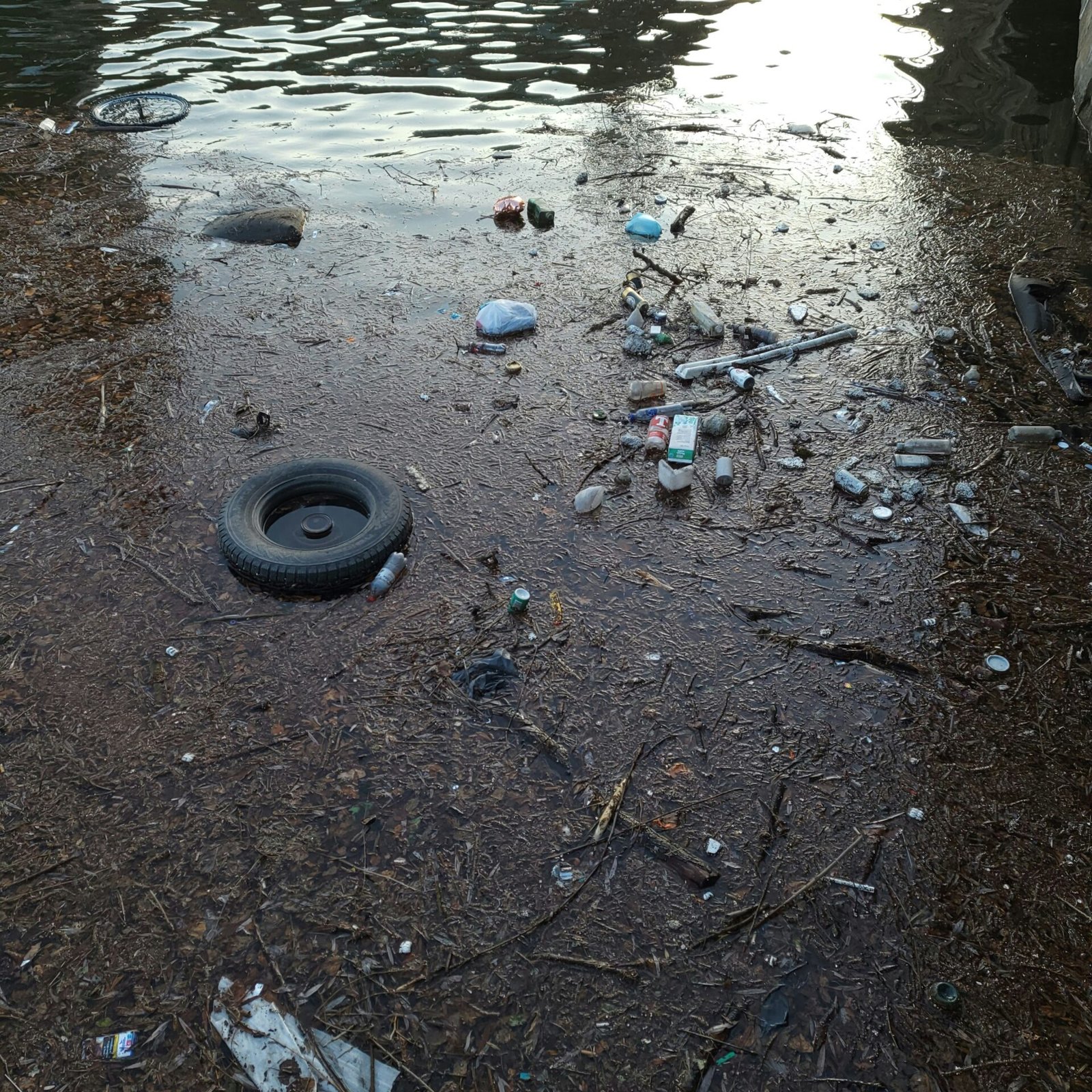 What to know about waterborne diseases