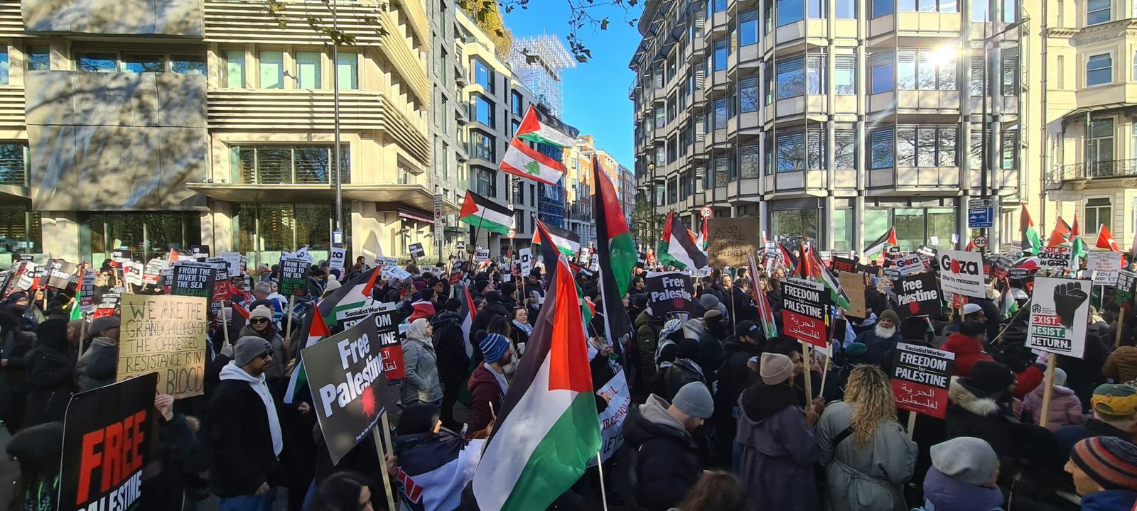 Man arrested over plot to firebomb NY pro-Palestinian activist's homeAgents found eight Molotov cocktails in the man's Hoboken home, according to court documents.